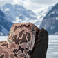 Fall/Winter Trapper Duck Camo Hat (The Ken Barrett)